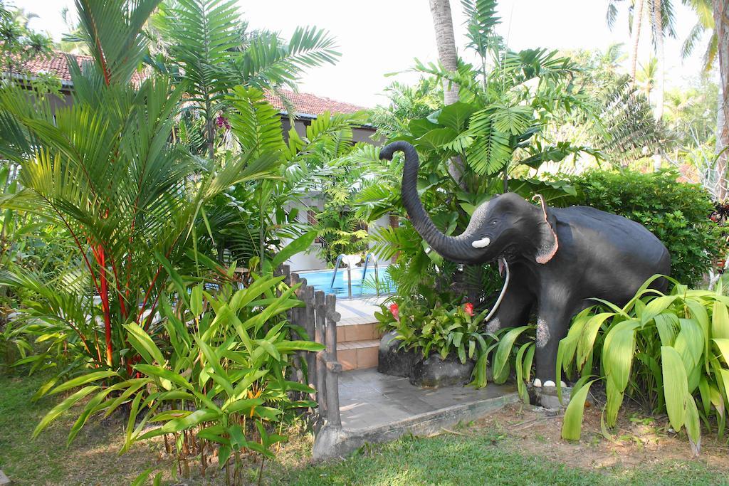 Pahalage Guesthouse Beruwala Extérieur photo